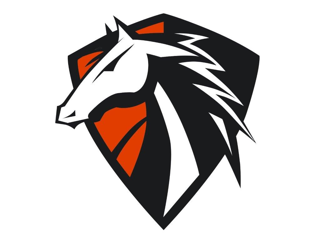 Stanford Elementary School